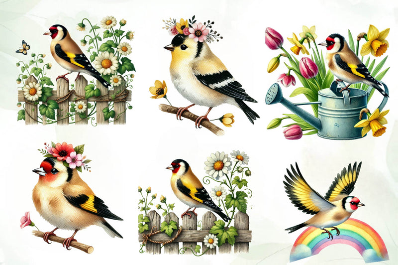Spring Goldfinch Bird Clipart Bundle - CraftNest - Digital Crafting and Art