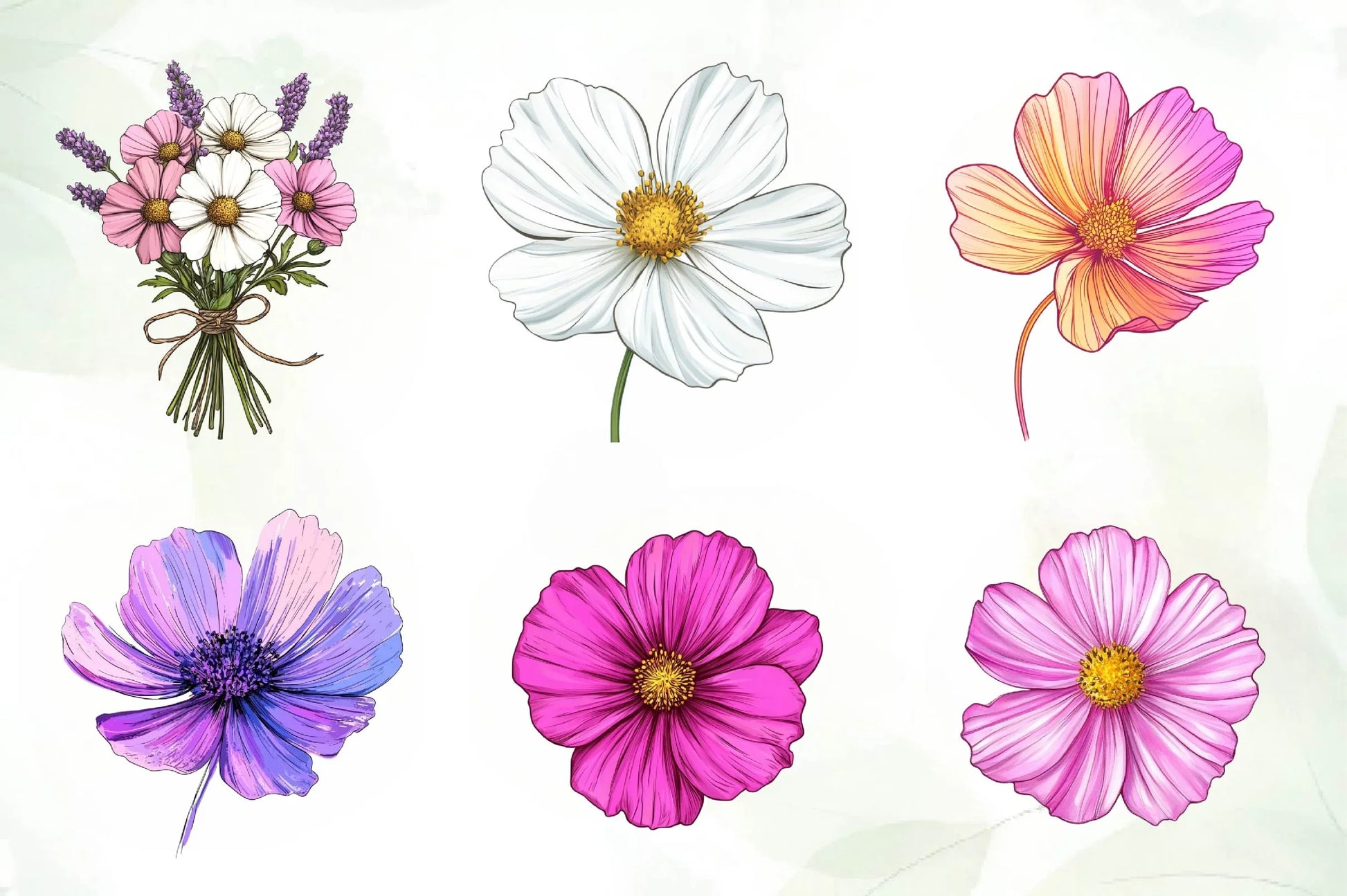 Cosmos Flower Bloom Clipart Bundle - CraftNest - Digital Crafting and Art