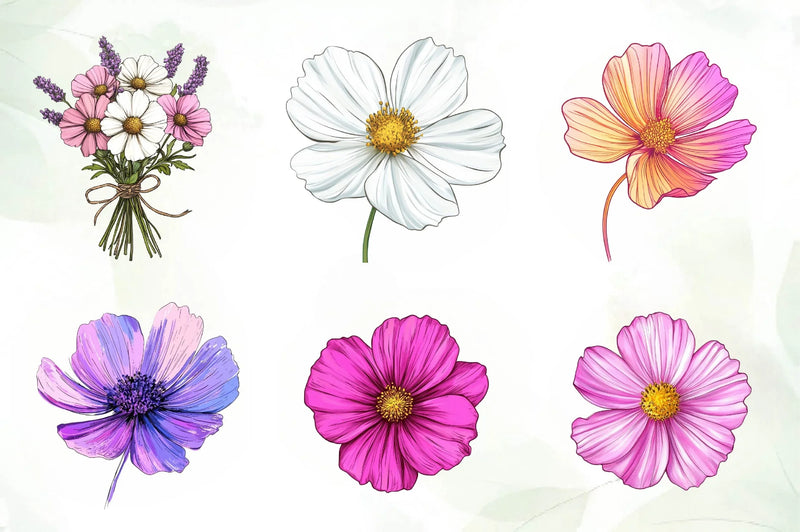 Cosmos Flower Bloom Clipart Bundle - CraftNest - Digital Crafting and Art