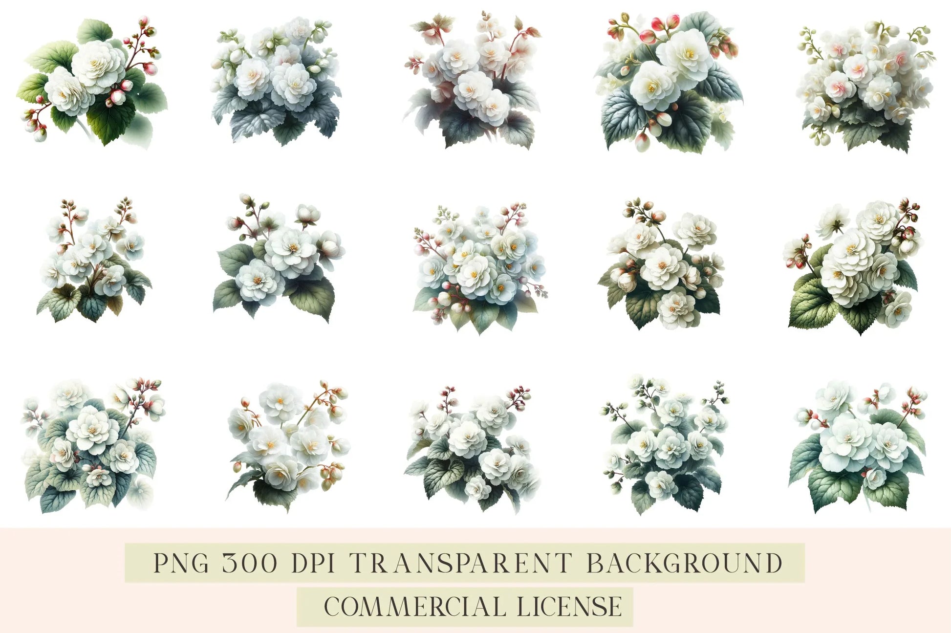 Begonia Flower Clipart Bundle - CraftNest - Digital Crafting and Art