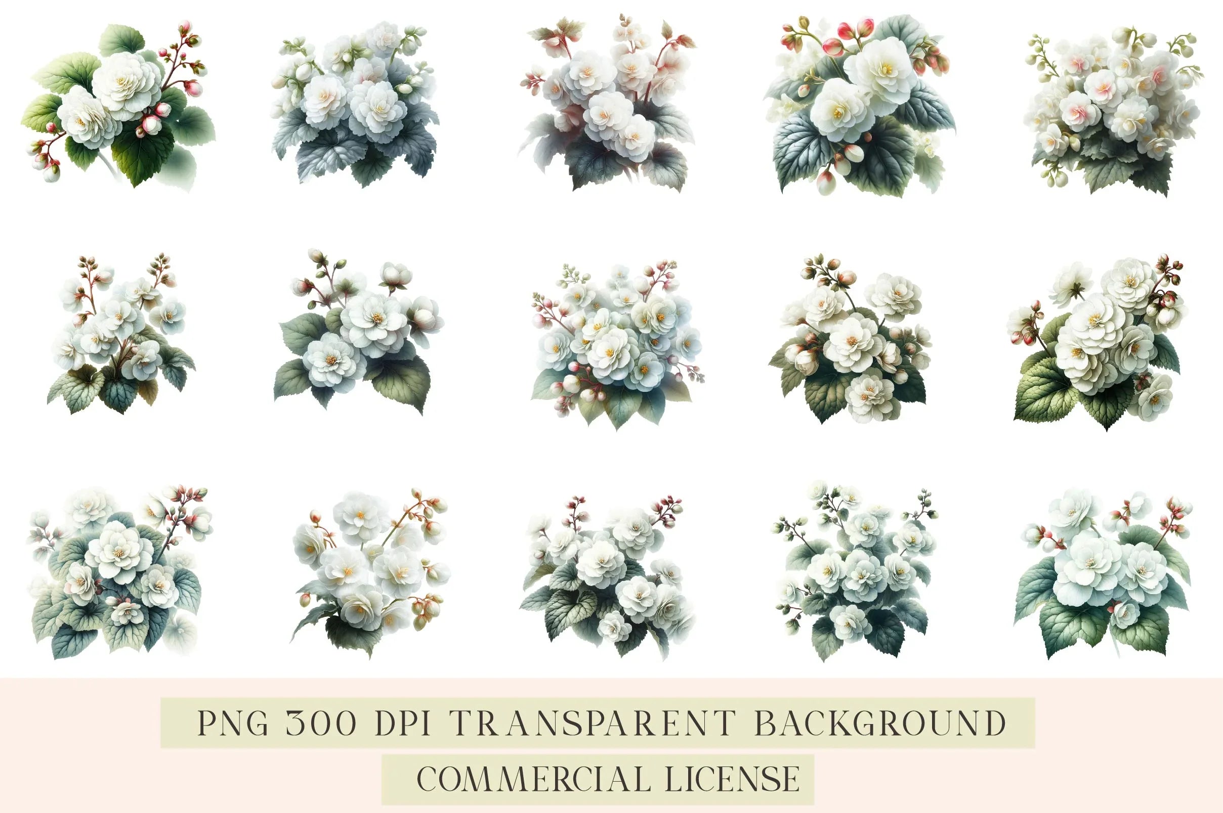 Begonia Flower Clipart Bundle - CraftNest - Digital Crafting and Art