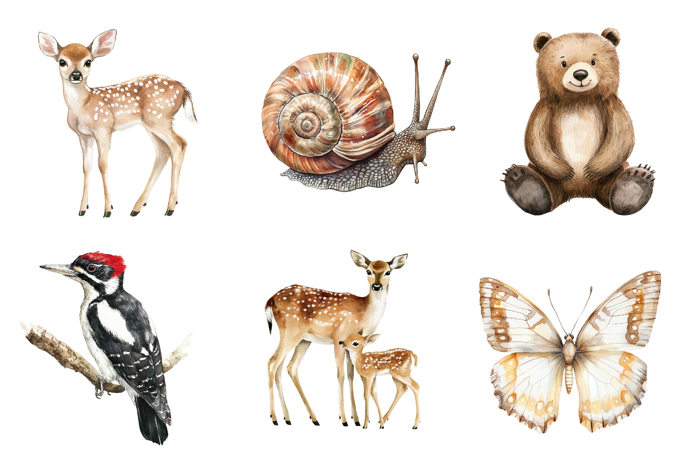 Woodland Forest Animals Clipart Bundle 2 - CraftNest - Digital Crafting and Art