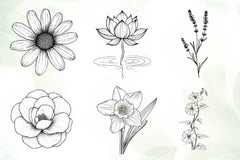 Botanical Line Art Designs Flower Clipart Bundle - CraftNest - Digital Crafting and Art