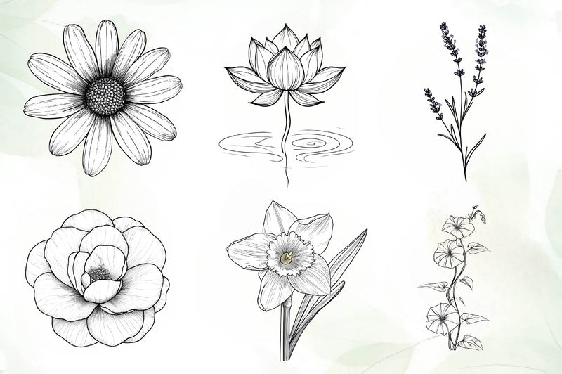 Botanical Line Art Designs Flower Clipart Bundle - CraftNest - Digital Crafting and Art