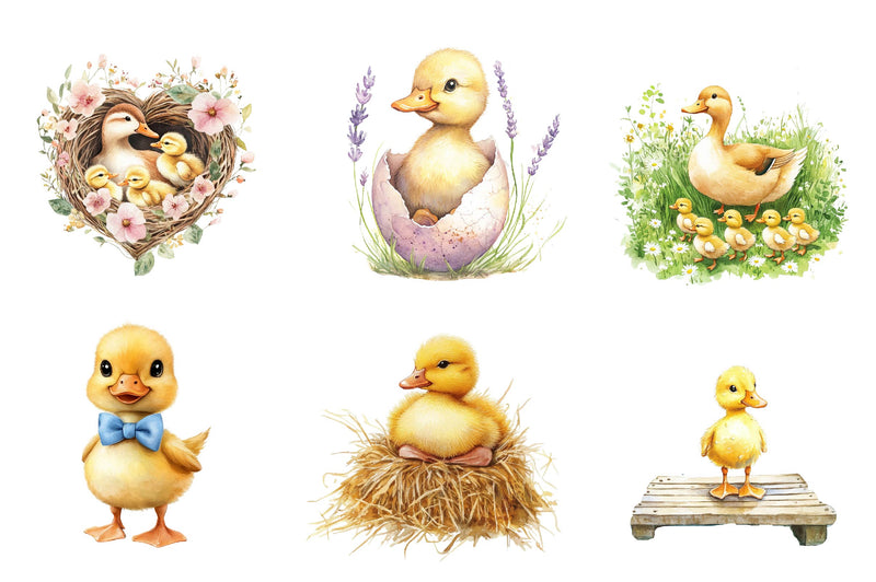 Duck & Duckling Clipart Bundle - CraftNest - Digital Crafting and Art