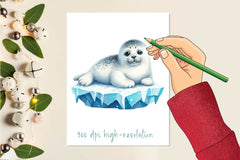 Ice Harp Seal Clipart Bundle - CraftNest - Digital Crafting and Art