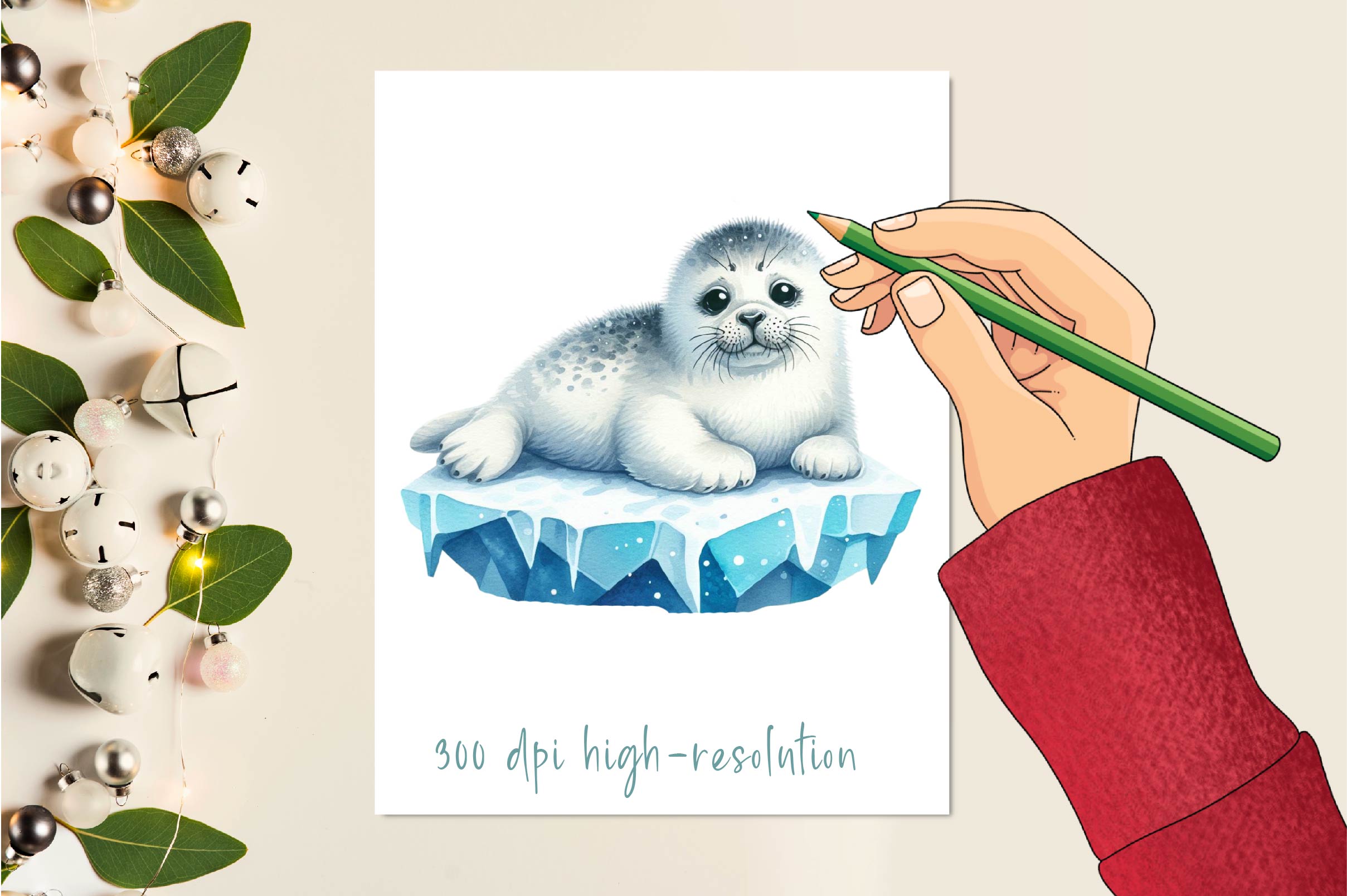 Ice Harp Seal Clipart Bundle - CraftNest - Digital Crafting and Art