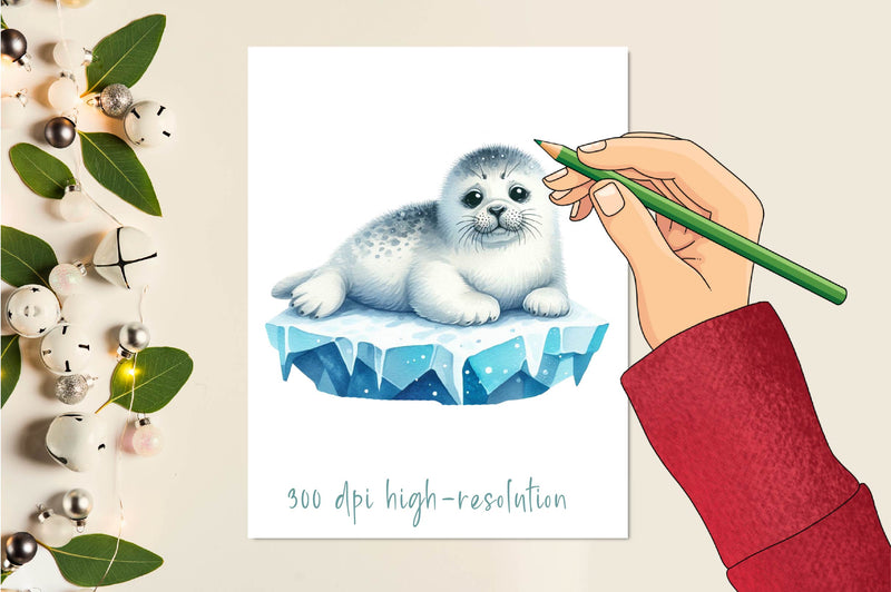 Ice Harp Seal Clipart Bundle - CraftNest - Digital Crafting and Art