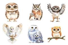 Owl & Owlet Clipart Bundle - CraftNest - Digital Crafting and Art