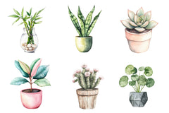Houseplant Clipart Bundle - CraftNest - Digital Crafting and Art