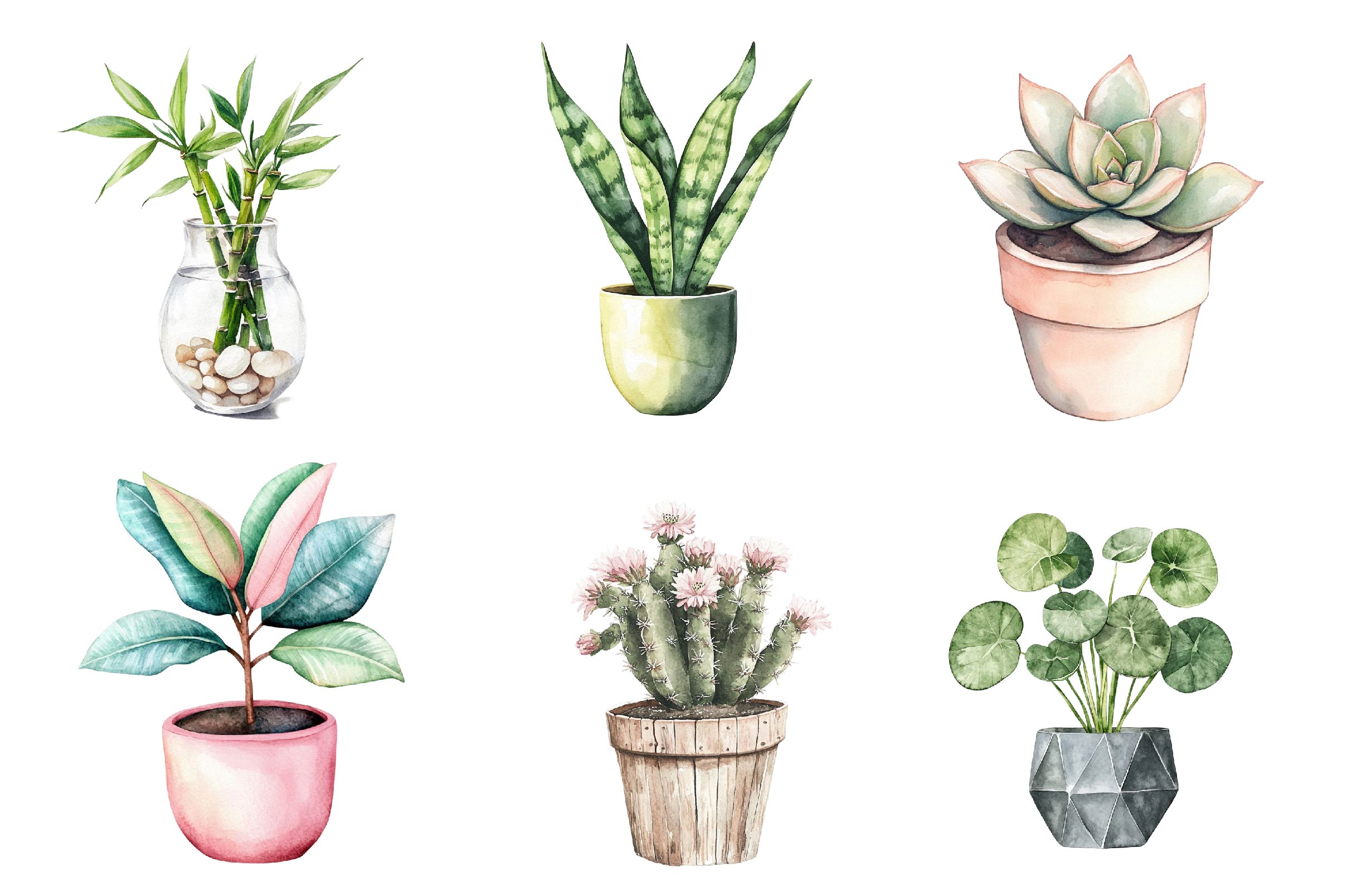 Houseplant Clipart Bundle - CraftNest - Digital Crafting and Art