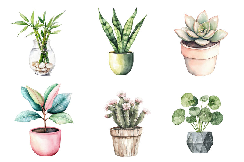 Houseplant Clipart Bundle - CraftNest - Digital Crafting and Art