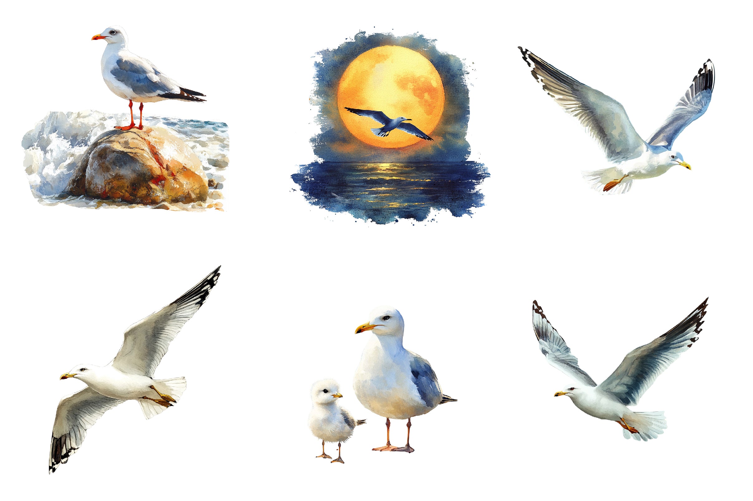 Summer Seagulls Clipart Bundle - CraftNest - Digital Crafting and Art