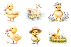 Duck & Duckling Clipart Bundle - CraftNest - Digital Crafting and Art