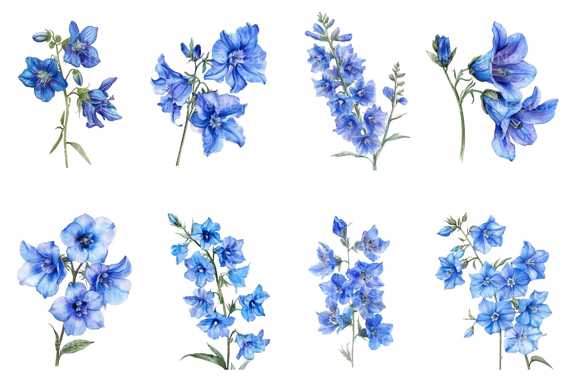 Larkspur Clipart Bundle - CraftNest - Digital Crafting and Art