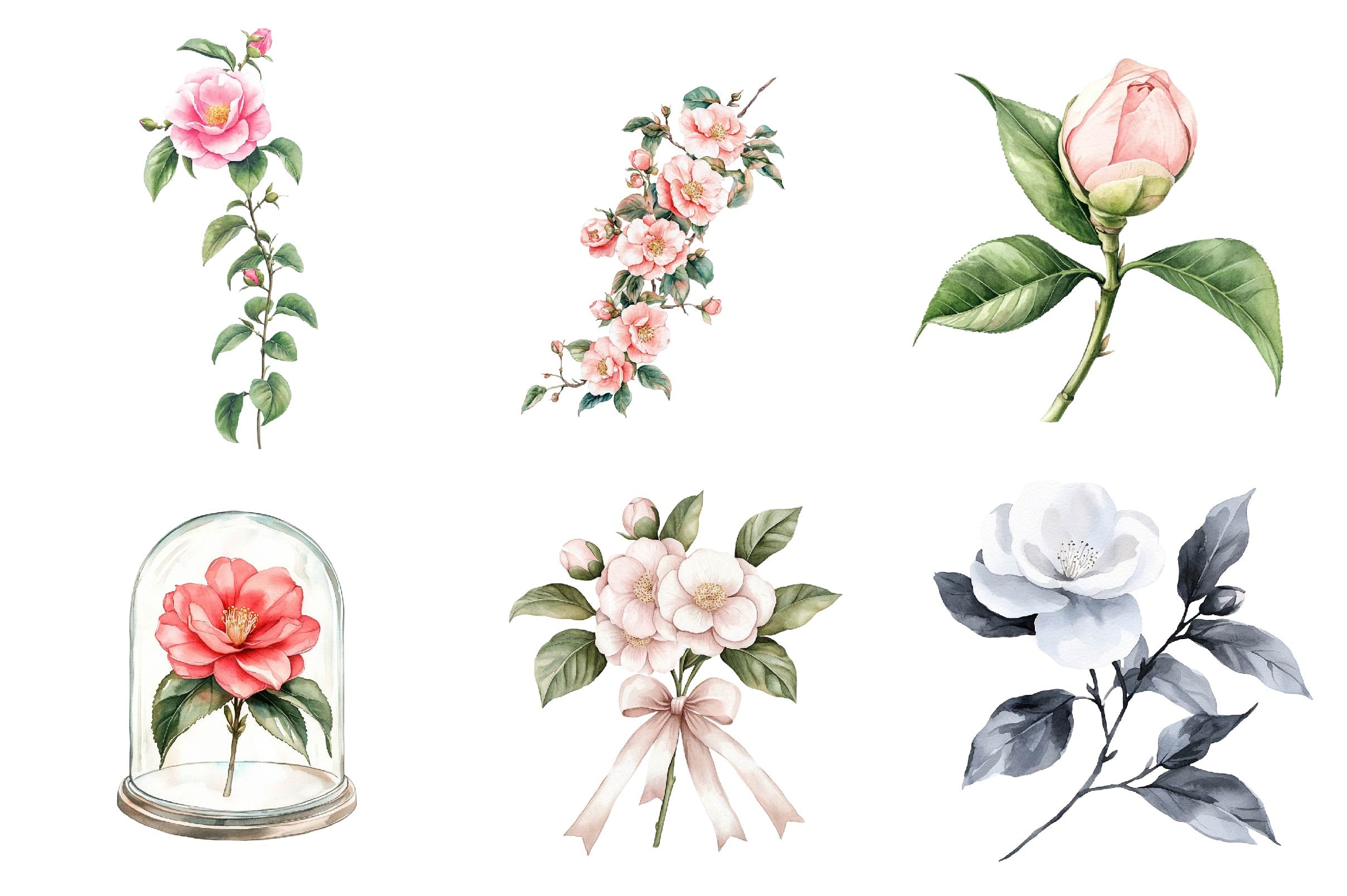 Camellia Flower Bloom Clipart Bundle - CraftNest - Digital Crafting and Art