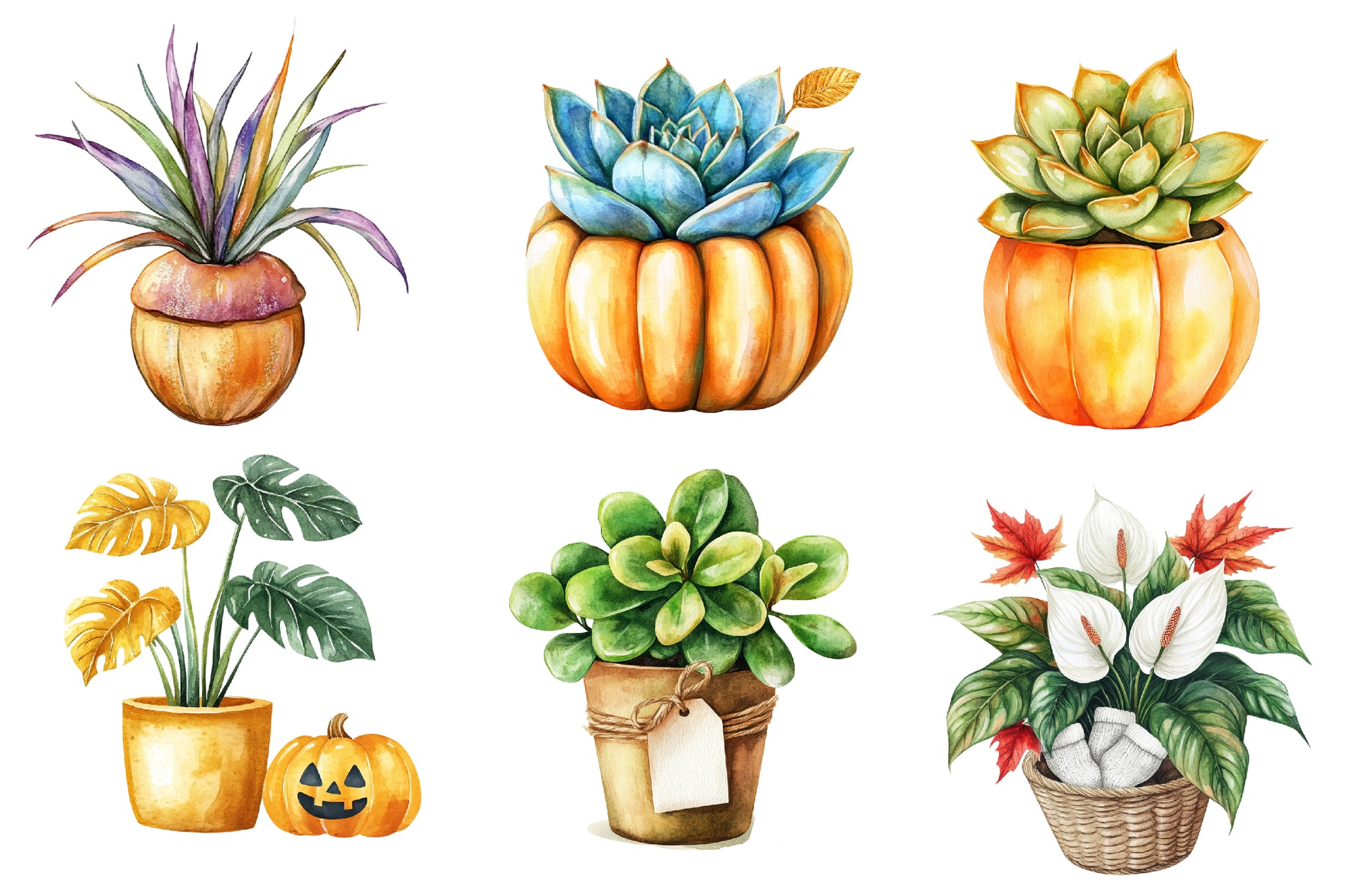 Positive Autumn Houseplant Clipart Bundle - CraftNest - Digital Crafting and Art