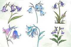 Little Bluebell Flower Bloom Clipart Bundle - CraftNest - Digital Crafting and Art