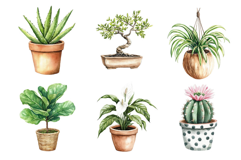 Houseplant Clipart Bundle - CraftNest - Digital Crafting and Art