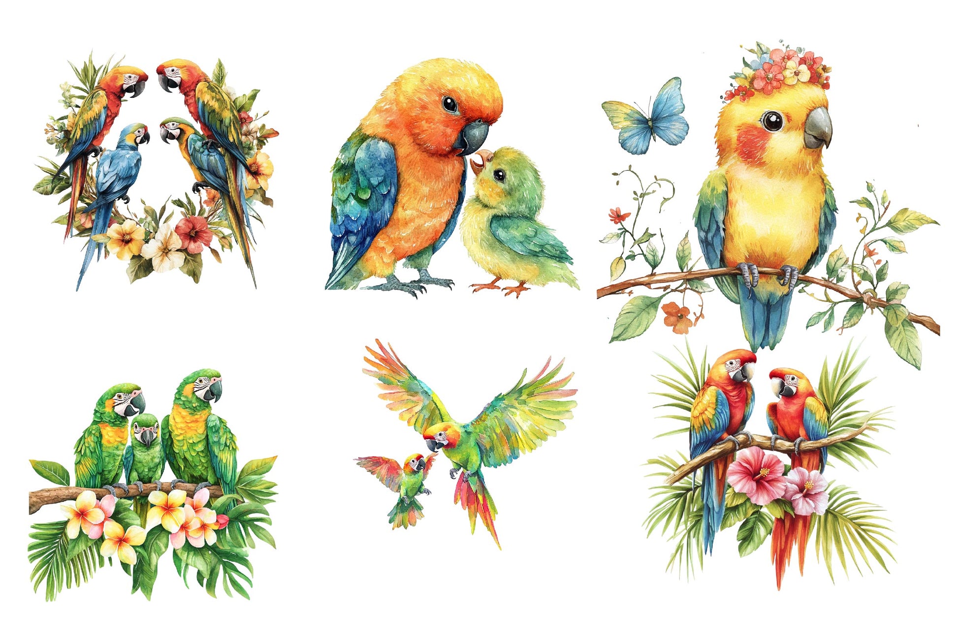 Tropical Parrot Family Clipart Bundle - CraftNest - Digital Crafting and Art
