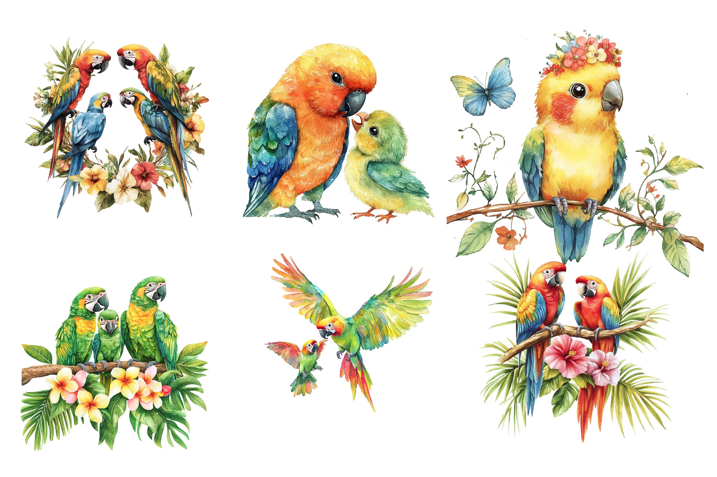 Tropical Parrot Family Clipart Bundle - CraftNest - Digital Crafting and Art