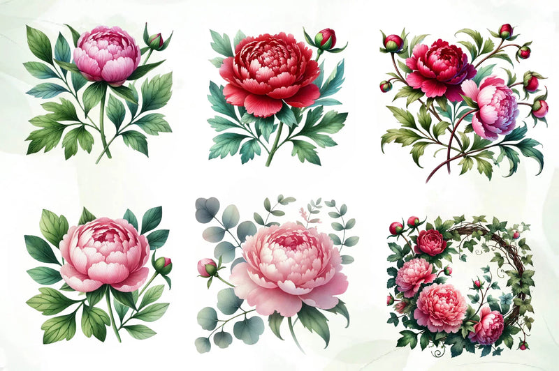 Peonies Flowers Clipart Bundle - CraftNest - Digital Crafting and Art