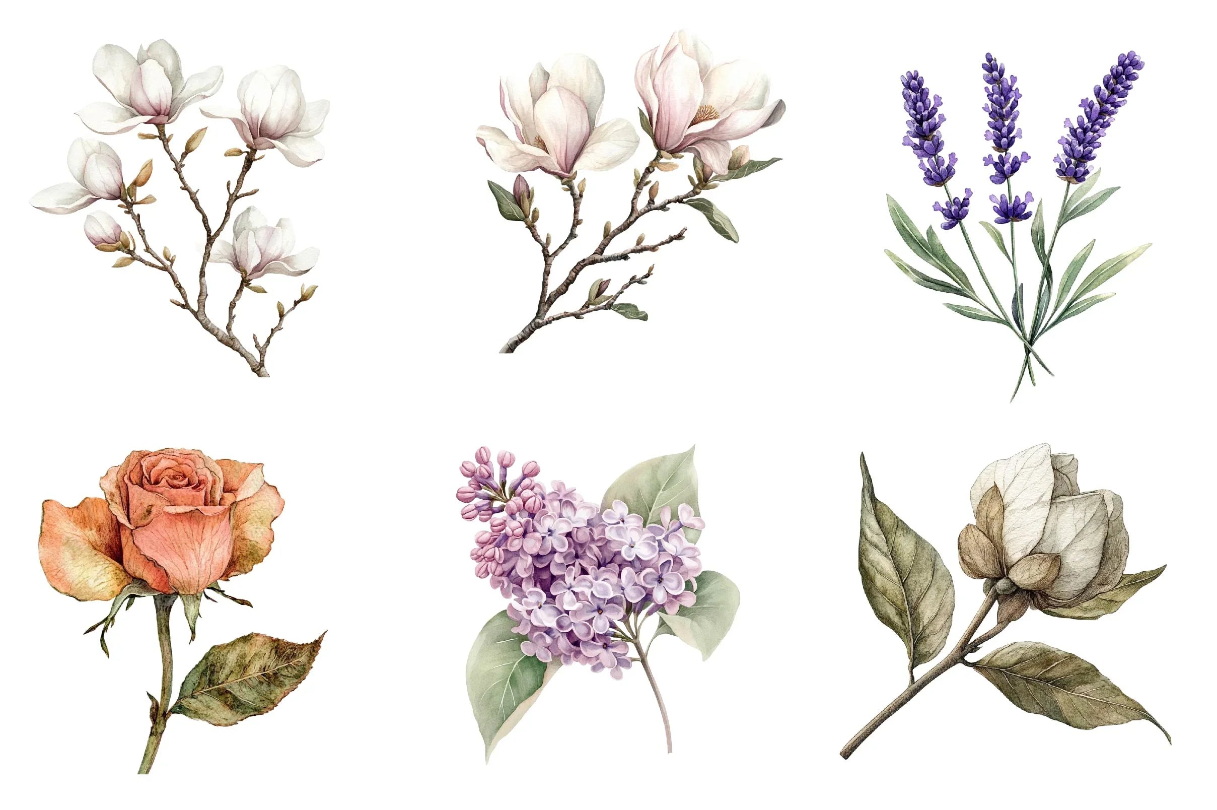 Vintage Botanical Clipart Bundle 1 - CraftNest - Digital Crafting and Art