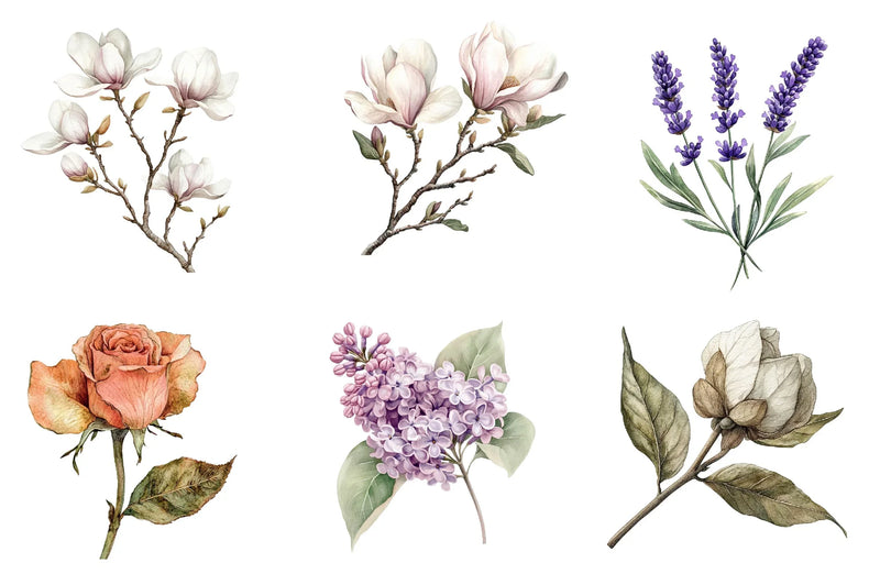 Vintage Botanical Clipart Bundle 1 - CraftNest - Digital Crafting and Art