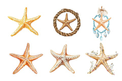 Summer Starfish Clipart Bundle - CraftNest - Digital Crafting and Art