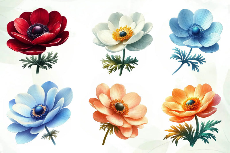Spring Anemones Flowers Clipart Bundle - CraftNest - Digital Crafting and Art