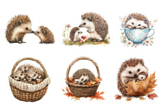 Hedgehog & Hoglet Clipart Bundle - CraftNest - Digital Crafting and Art