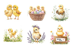 Chirping Chicks Clipart Bundle - CraftNest - Digital Crafting and Art
