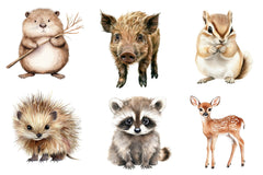 Woodland Forest Animals Clipart Bundle 2 - CraftNest - Digital Crafting and Art