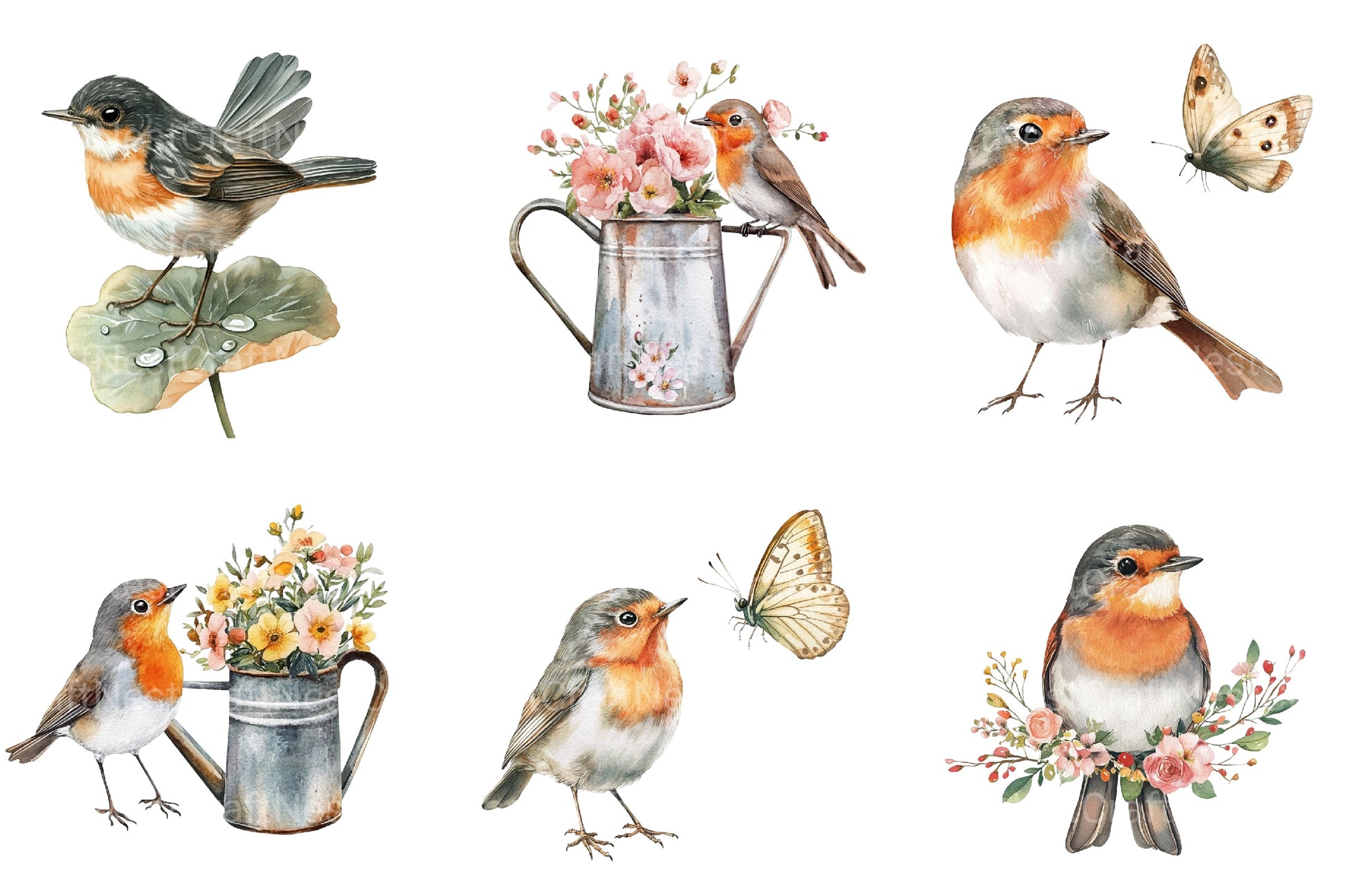 Spring Robins Clipart Bundle - CraftNest - Digital Crafting and Art
