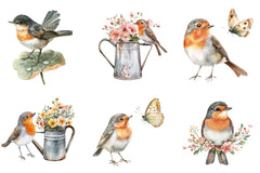 Spring Robins Clipart Bundle - CraftNest - Digital Crafting and Art