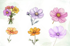 Cosmos Flower Bloom Clipart Bundle - CraftNest - Digital Crafting and Art