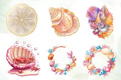 Summer Seashell Clipart Bundle - CraftNest - Digital Crafting and Art