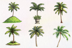 Palm Tree Serenity Clipart Bundle - CraftNest - Digital Crafting and Art