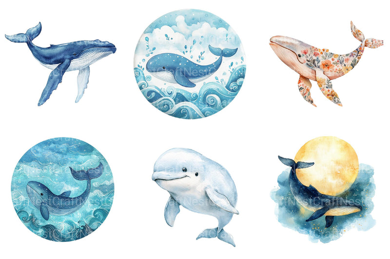 Whale Clipart - CraftNest - Digital Crafting and Art