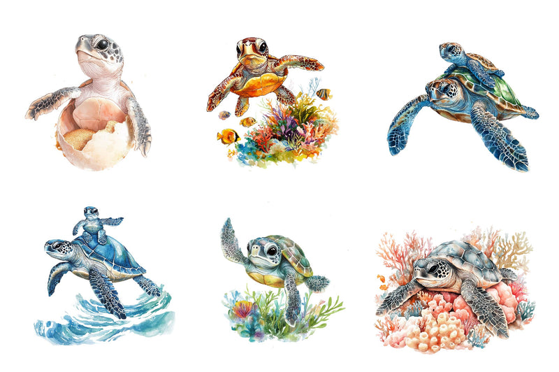 Sea Turtle & Baby Clipart Bundle - CraftNest - Digital Crafting and Art