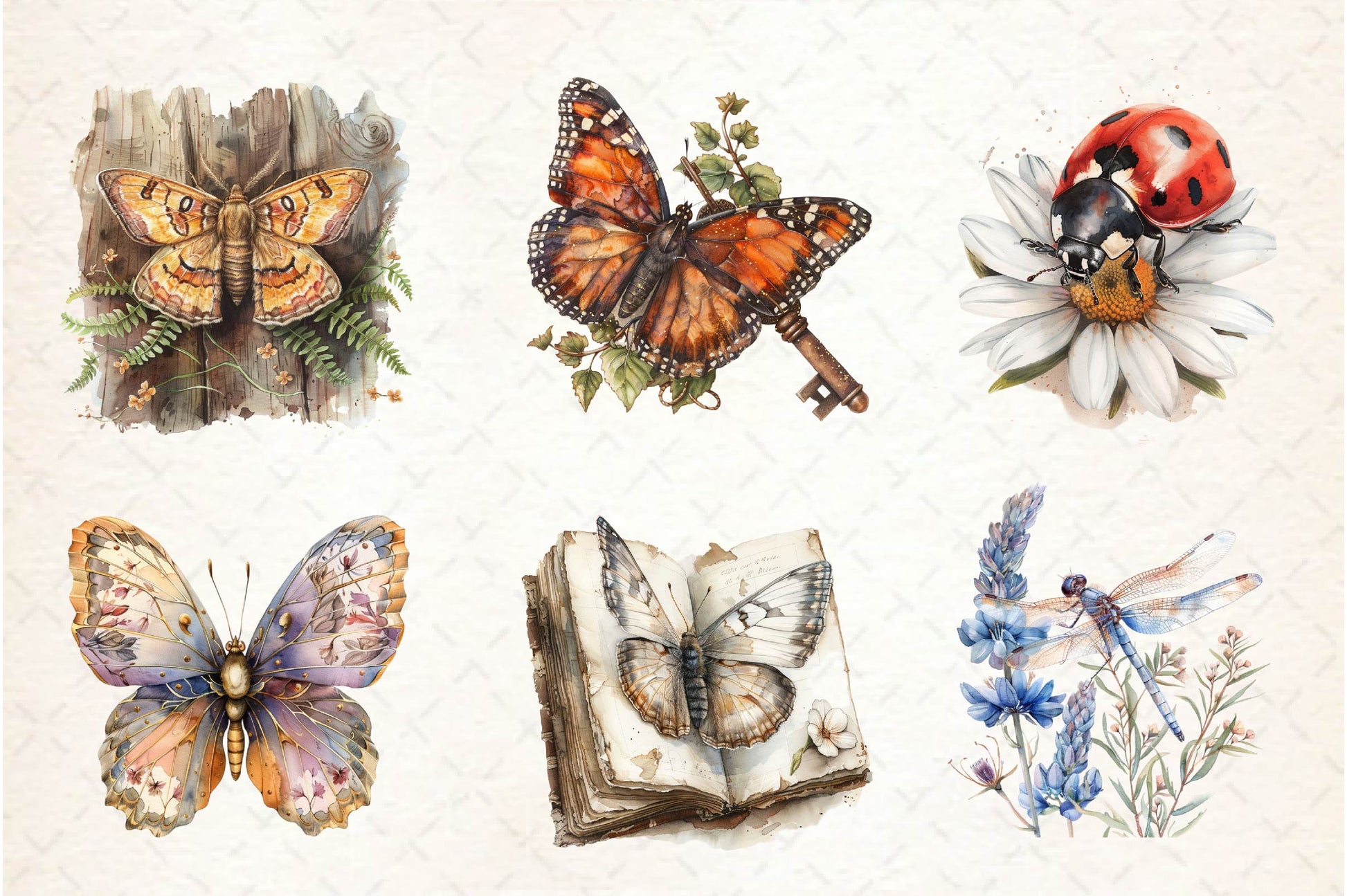 Vintage Spring Insect Clipart Bundle - CraftNest - Digital Crafting and Art