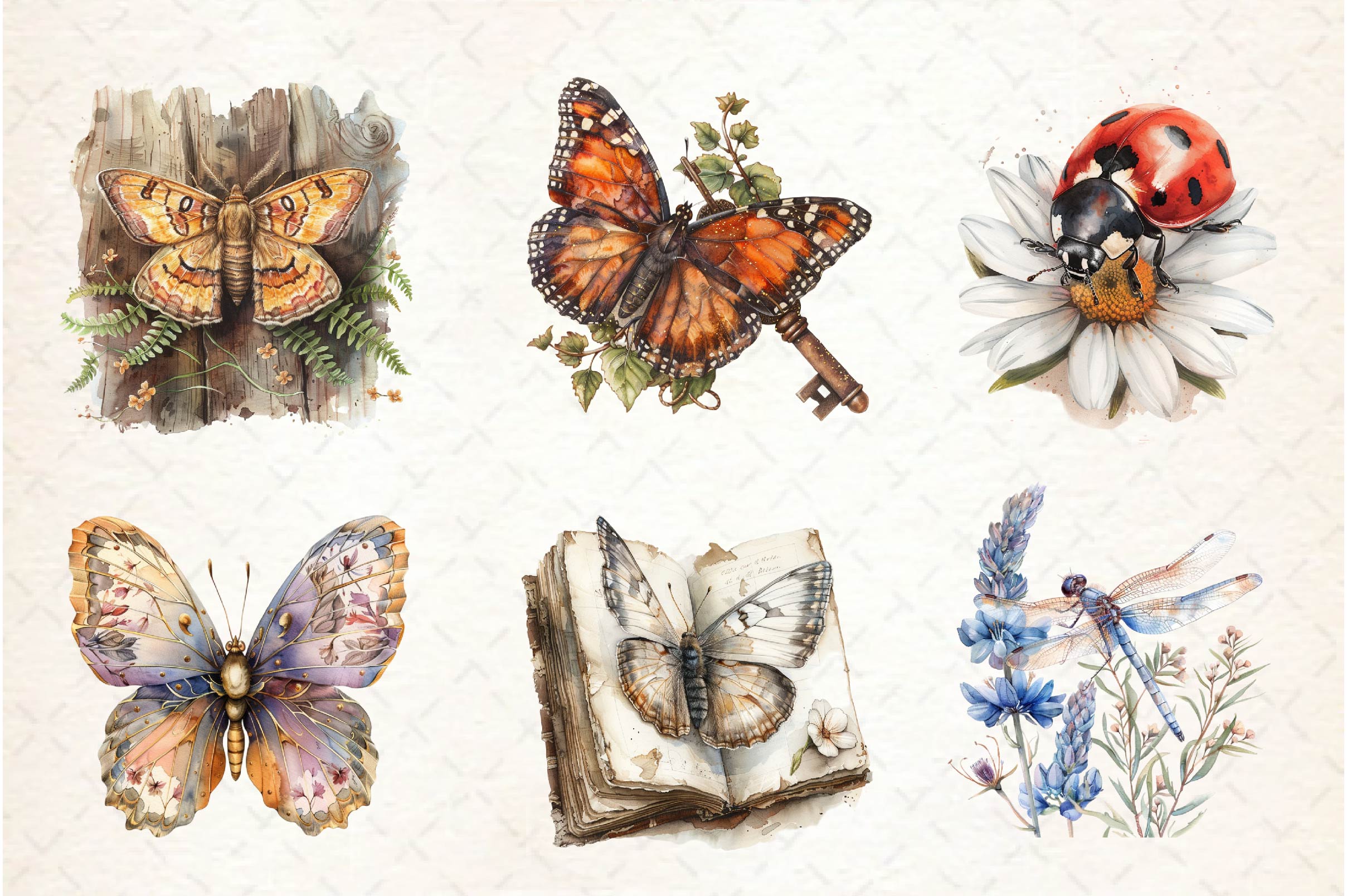 Vintage Spring Insect Clipart Bundle - CraftNest - Digital Crafting and Art