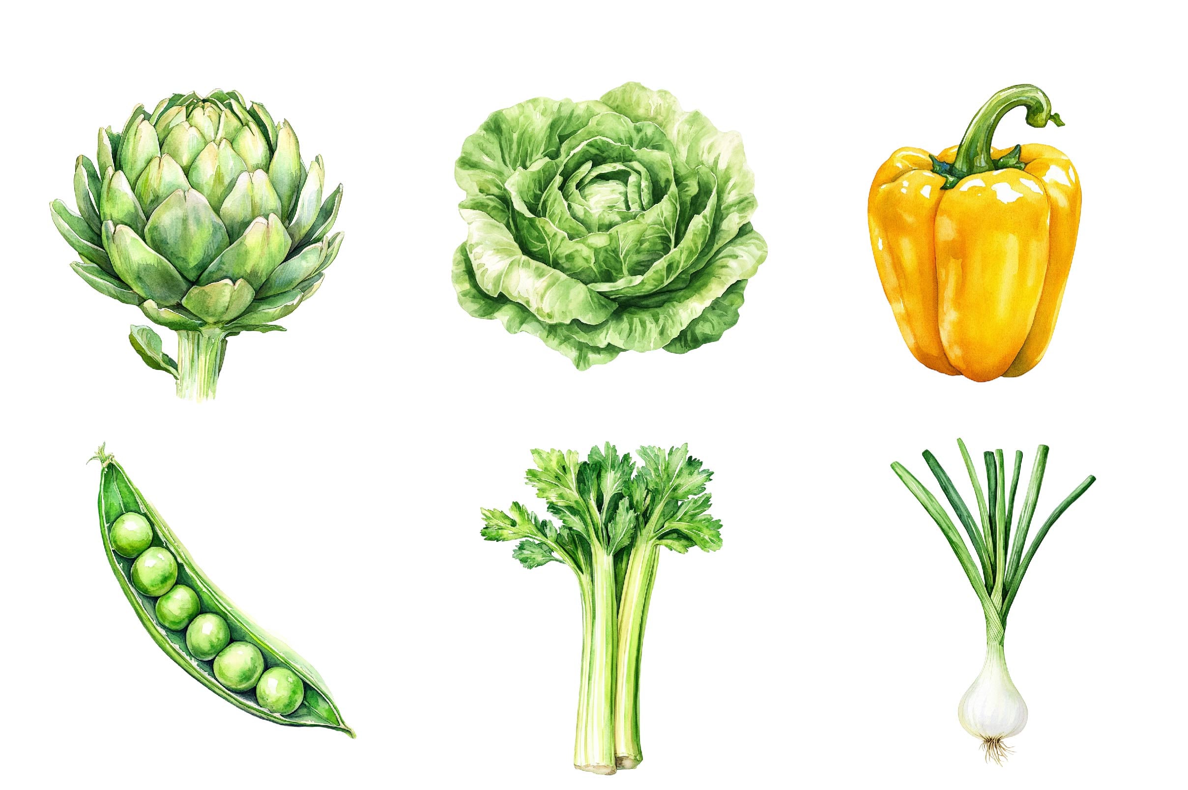 Vegetables Clipart Bundle 1 - CraftNest - Digital Crafting and Art