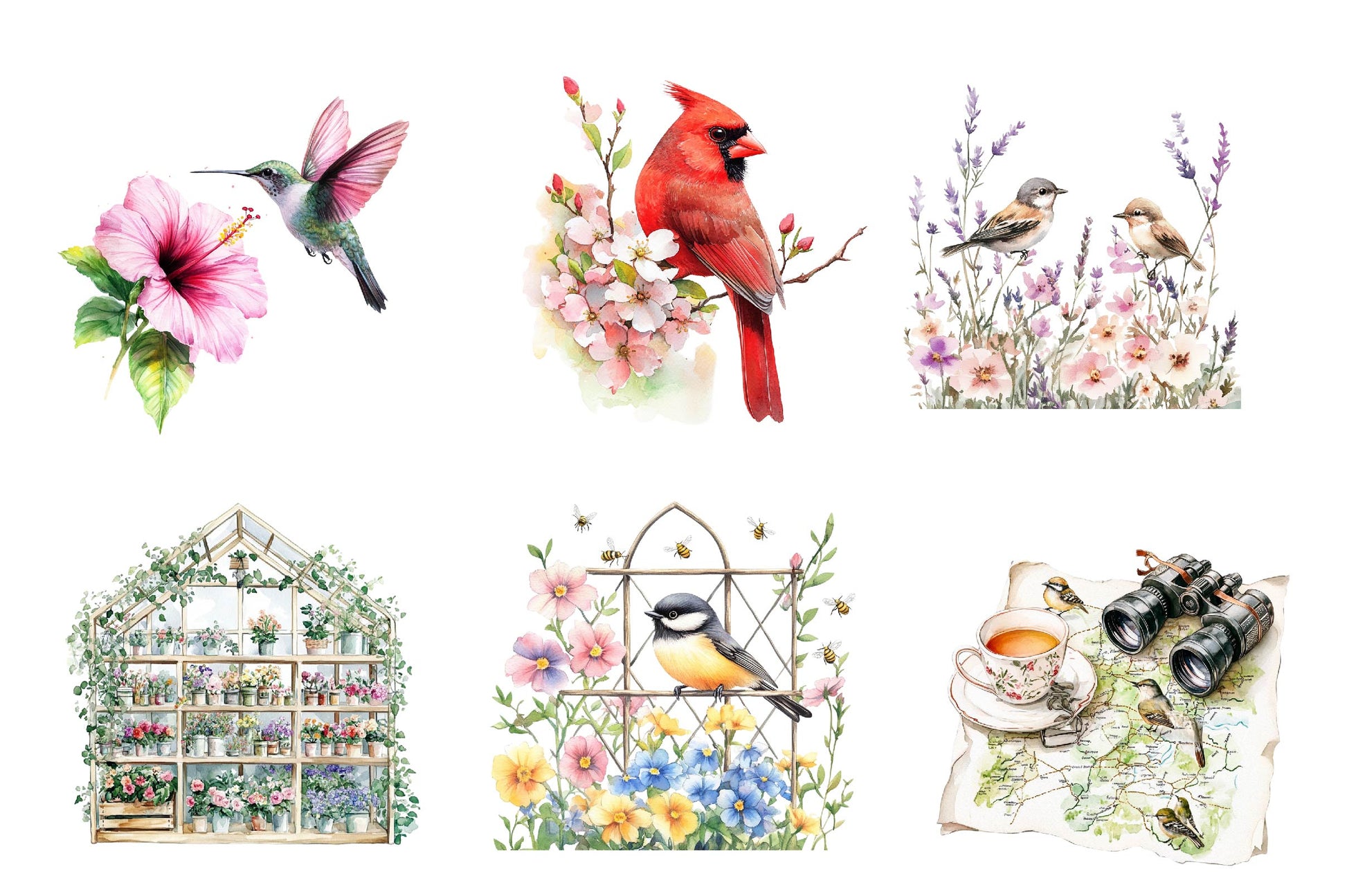 Spring Birdwatching Clipart Bundle - CraftNest - Digital Crafting and Art