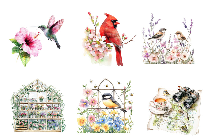 Spring Birdwatching Clipart Bundle - CraftNest - Digital Crafting and Art