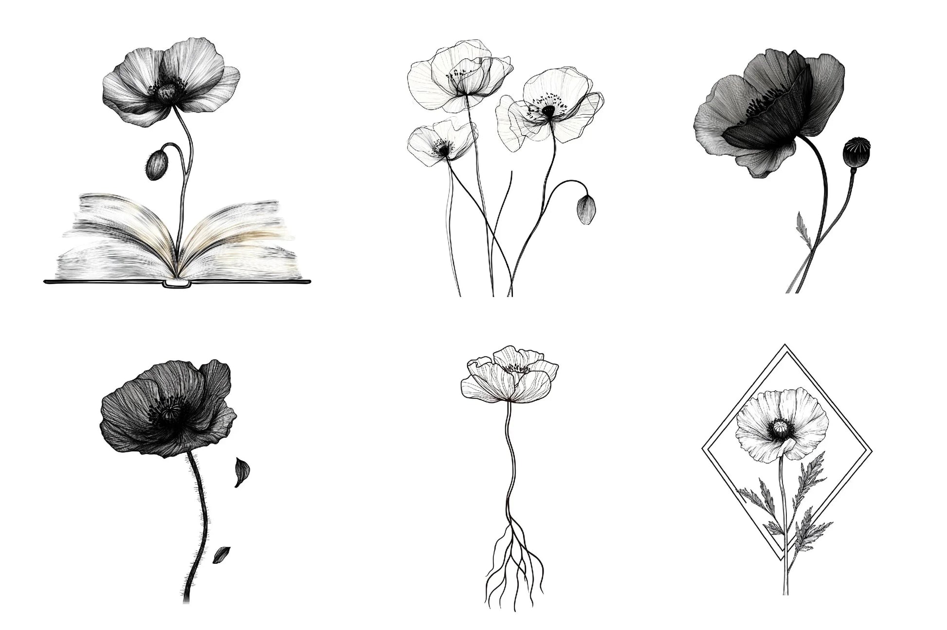 Poppy Flower Clipart Bundle - CraftNest - Digital Crafting and Art