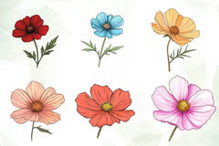 Cosmos Flower Bloom Clipart Bundle - CraftNest - Digital Crafting and Art