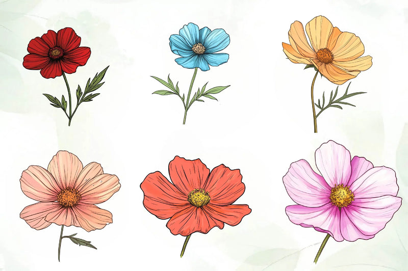 Cosmos Flower Bloom Clipart Bundle - CraftNest - Digital Crafting and Art