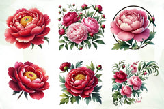 Peonies Flowers Clipart Bundle - CraftNest - Digital Crafting and Art