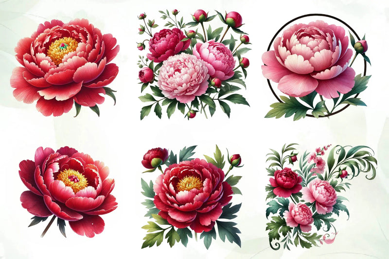 Peonies Flowers Clipart Bundle - CraftNest - Digital Crafting and Art